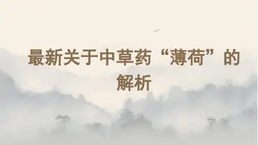 最新关于中草药“薄荷”的解析