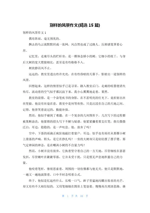 别样的风景作文(精选15篇)