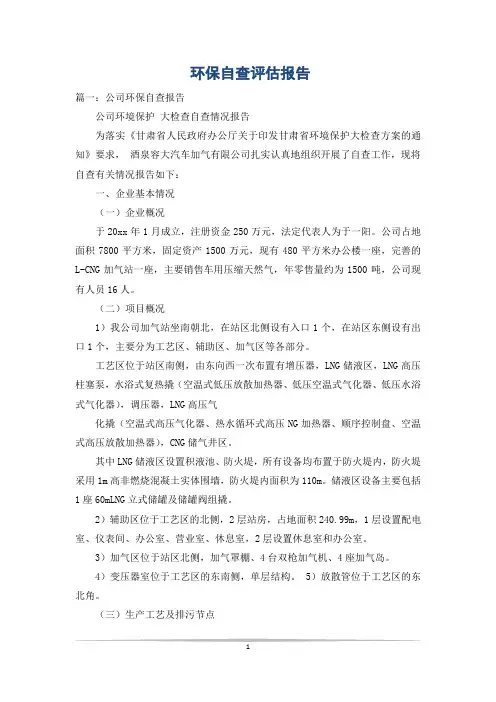 环保自查评估报告