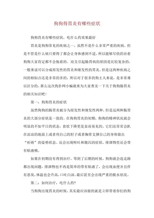 狗狗得胃炎有哪些症状