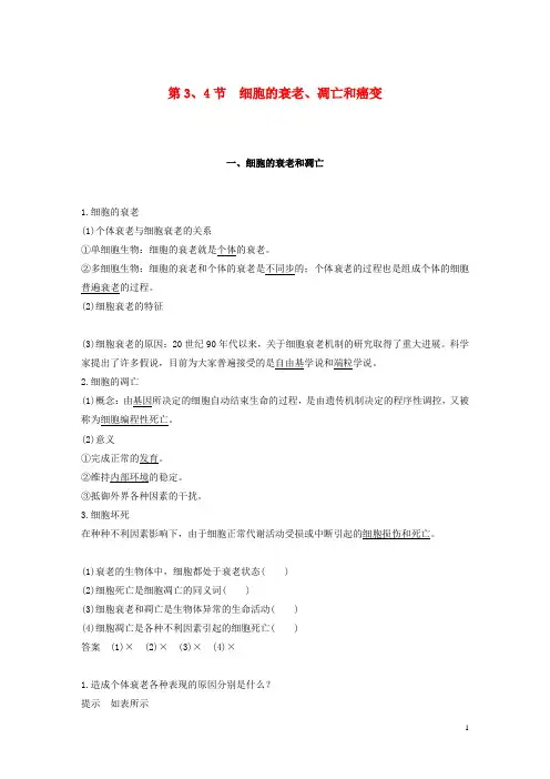高中生物第6章细胞的生命历程第34节细胞的衰老凋亡和癌变学案新人教版必修1