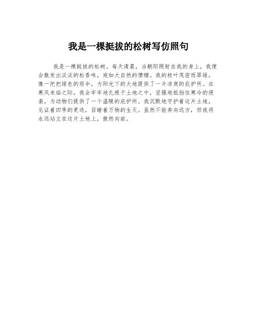 我是一棵挺拔的松树写仿照句