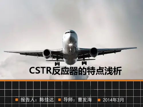 CSTR反应器