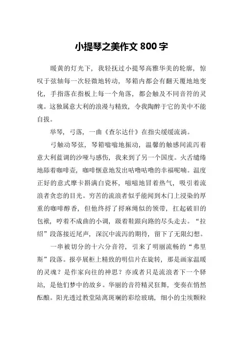 小提琴之美作文800字