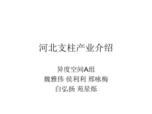 河北支柱产业介绍