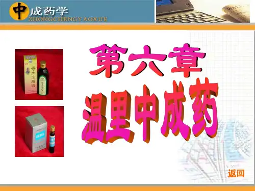 温里中成药