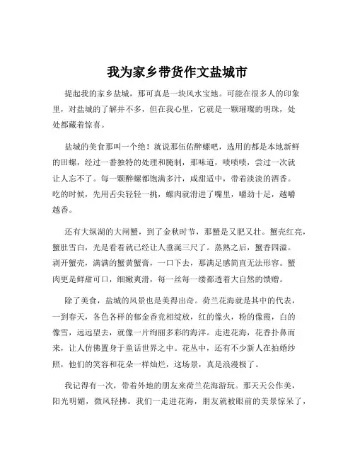 我为家乡带货作文盐城市