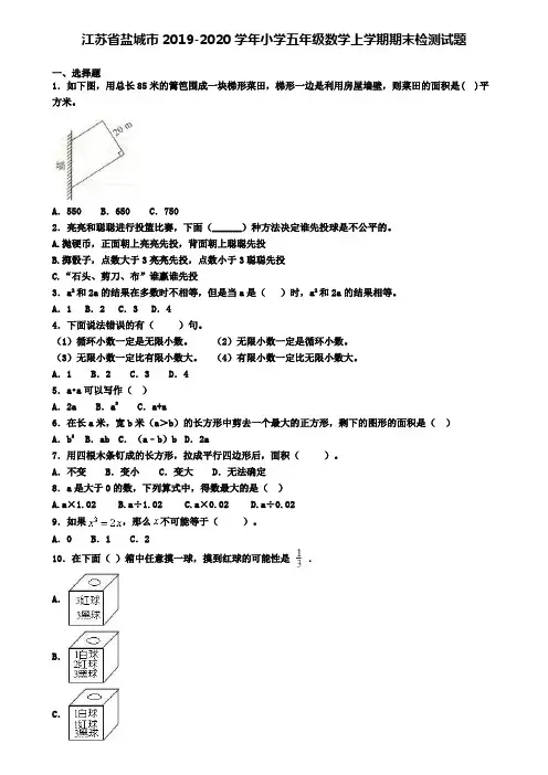 江苏省盐城市2019-2020学年小学五年级数学上学期期末检测试题