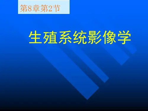医学影像学PPT生殖系统影像学课件