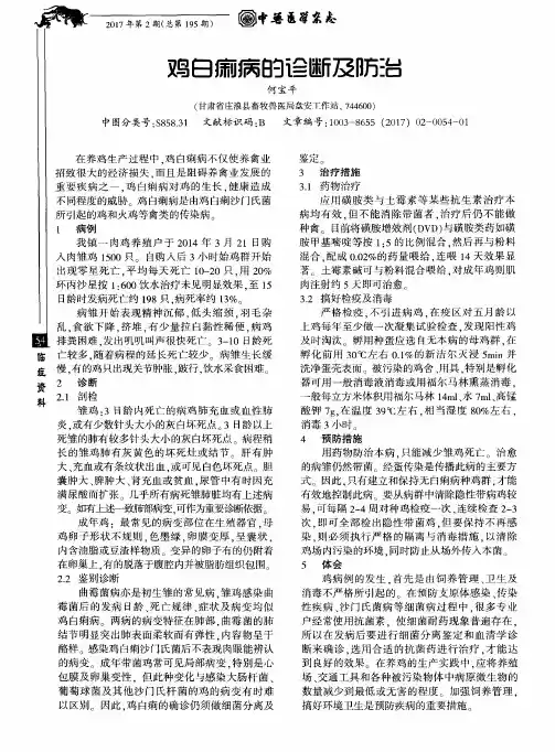 鸡白痢病的诊断及防治