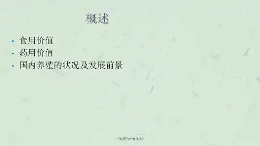 海胆的养殖技术课件