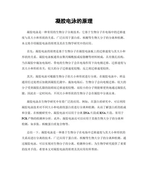 凝胶电泳的原理