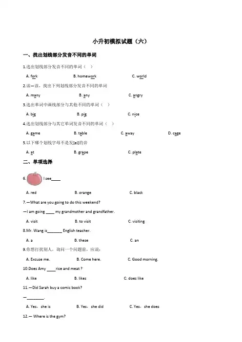 六年级下册英语试题--小升初模拟试题(六)教科版(广州,三起) 含答案