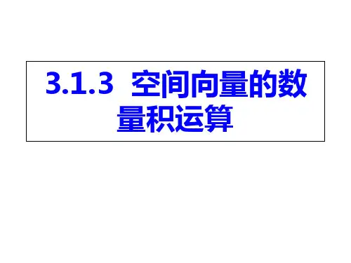数学：3.1.3空间向量的数量积运算-PPT课件2