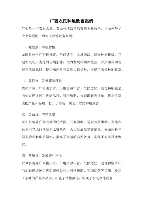 广西农民种地致富案例