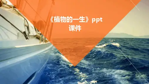 《植物的一生》课件