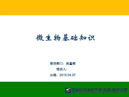 微生物基础知识培训(常用微生物知识)ppt课件