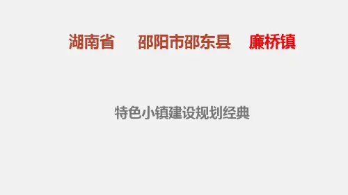 关于特色小镇规划-湖南廉桥镇