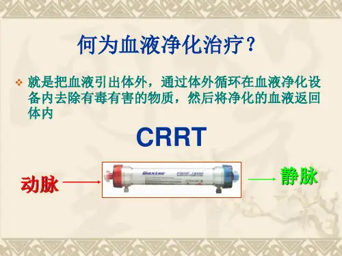 crrt的相关知识及护理-PPT文档-精选文档