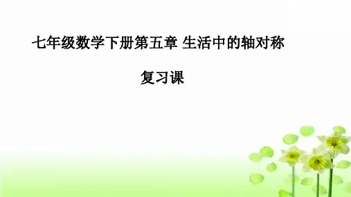 北师大版七年级数学下册第五章生活中的轴对称复习课