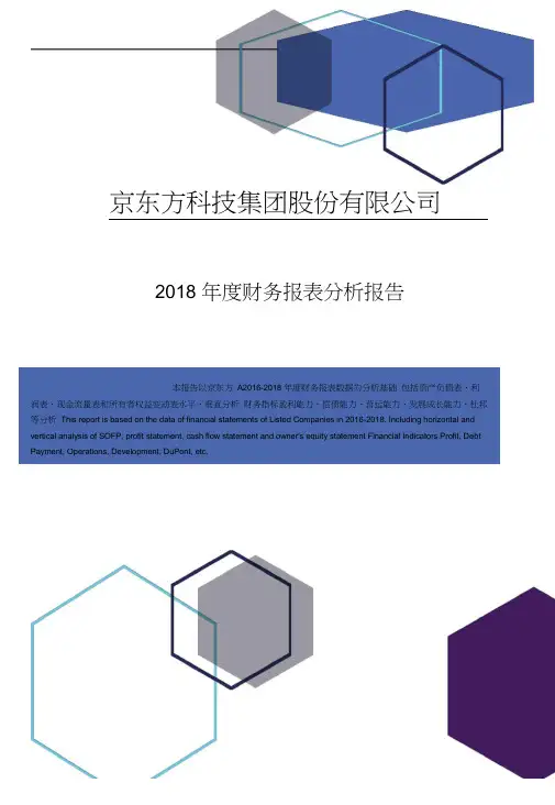 京东方科技集团股份有限公司2018年度财务报表分析报告