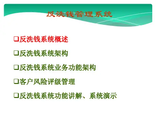 反洗钱管理系统精品文档73页