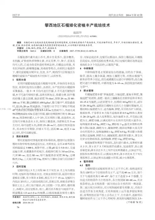 攀西地区石榴矮化密植丰产栽培技术
