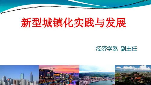 新型城镇化实践与发展讲座PPT课件