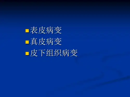 皮肤组织病理学
