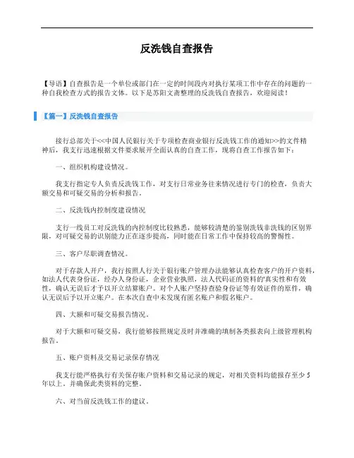 反洗钱自查报告