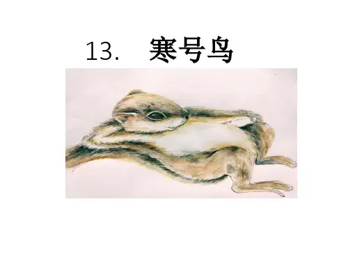 13 寒号鸟 第二课时 课件(共14张PPT).ppt