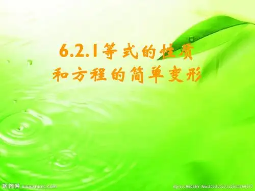 方程的简单变形课件