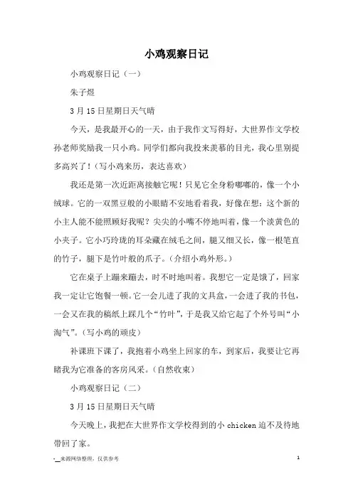 小鸡观察日记_日记