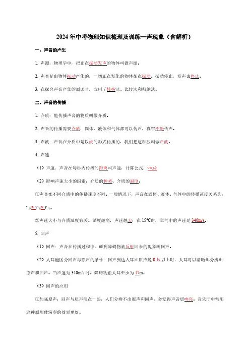 2024年中考物理知识梳理及训练—声现象(含解析)