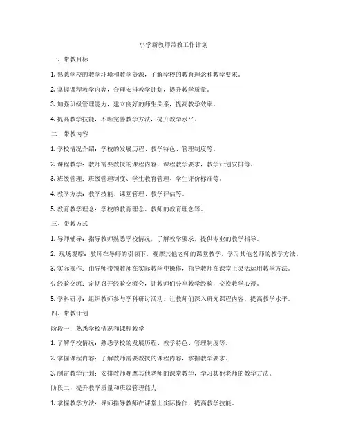 小学新教师带教工作计划