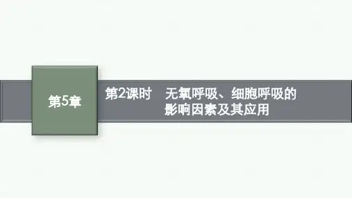 人教版高中生物学必修1精品课件 第5章 第3节 第2课时 无氧呼吸、细胞呼吸的影响因素及其应用