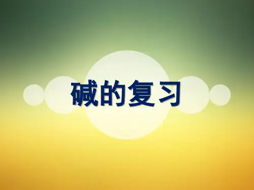 鲁教版九年级化学下册第七单元第二节 碱及性质 课件(共13张PPT)