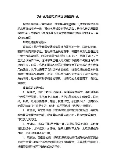 为什么哈密瓜特别甜原因是什么