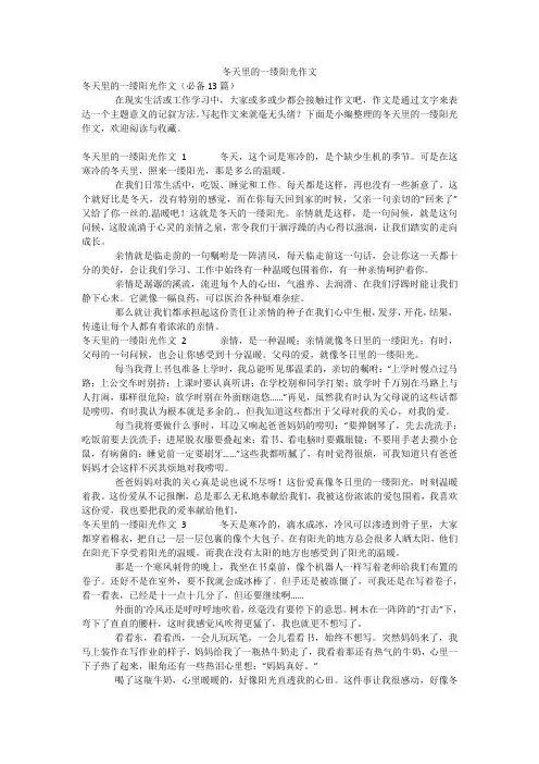 冬天里的一缕阳光作文