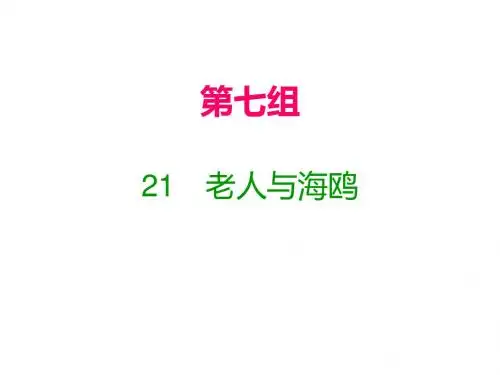 六年级上册语文课件-21 老人与海鸥｜人教新课标(含答案)