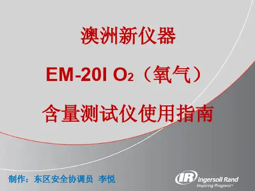 氧含量测试仪使用指南-LY