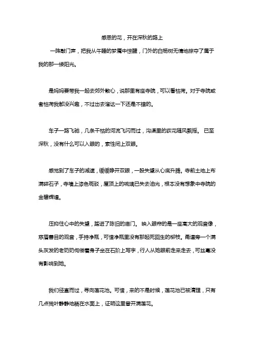 感恩的花,开在深秋的路上