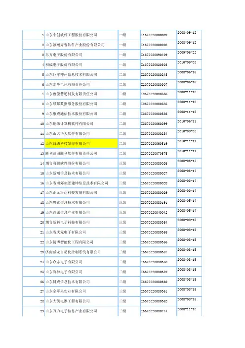 山东系统集成商