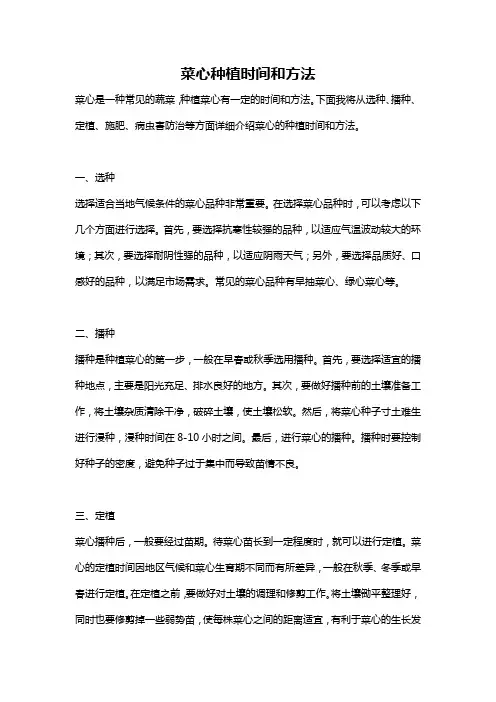 菜心种植时间和方法