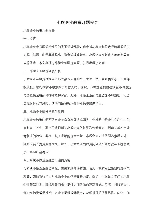 小微企业融资开题报告