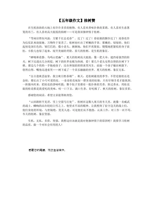 【五年级作文】桂树赞