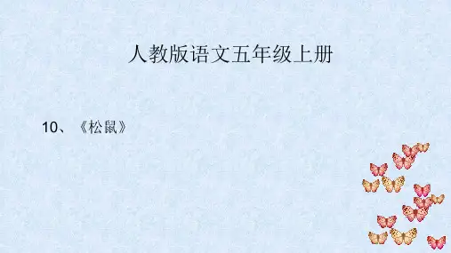 五年级上册语文课件-10 松鼠 _人教新课标 (共35张PPT) 
