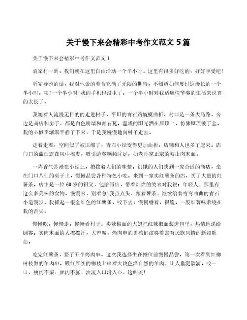 关于慢下来会精彩中考作文范文5篇