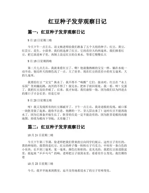红豆种子发芽观察日记