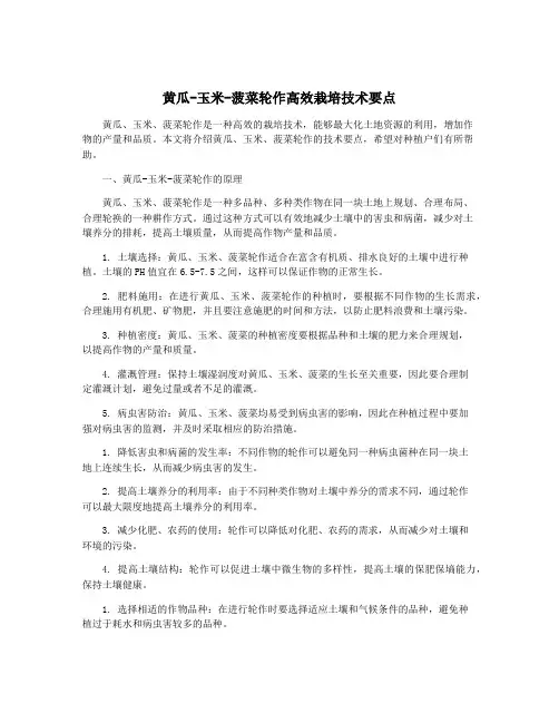 黄瓜-玉米-菠菜轮作高效栽培技术要点